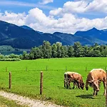 421 Seeblick By Interhome * Strobl