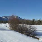 Apartamento 421 Seeblick By Interhome