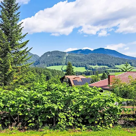 421 Seeblick By Interhome * Strobl