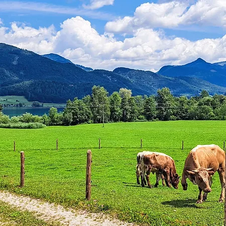 421 Seeblick By Interhome * Strobl