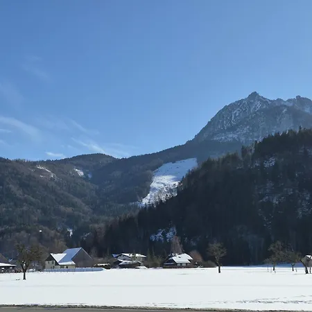 421 Seeblick By Interhome Daire *