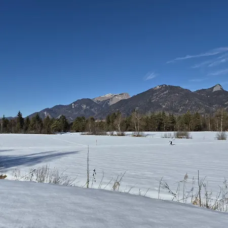 421 Seeblick By Interhome Daire Strobl