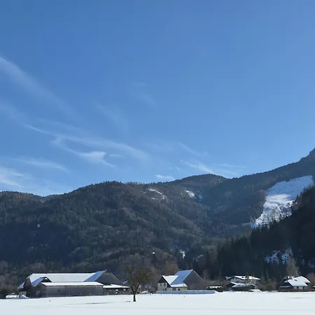 421 Seeblick By Interhome Apartman Strobl