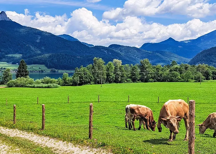 421 Seeblick By Interhome * ストローブル