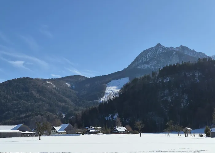 421 Seeblick By Interhome Daire *