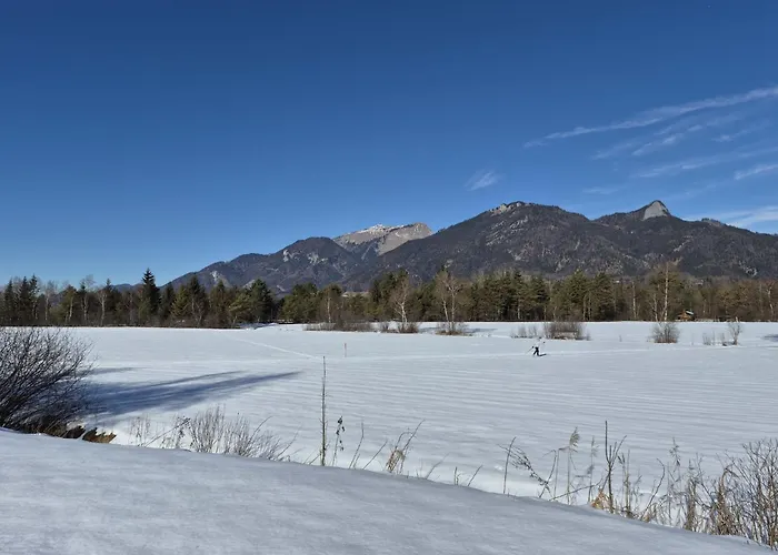 421 Seeblick By Interhome アパート ストローブル