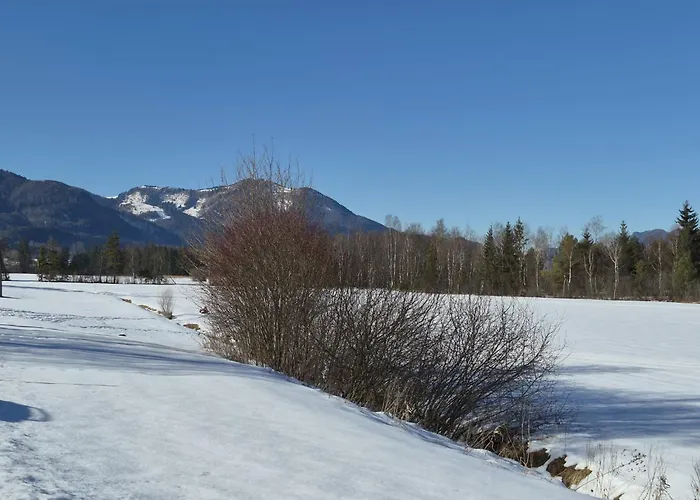 Daire 421 Seeblick By Interhome