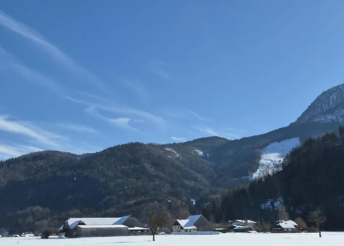 421 Seeblick By Interhome Daire Strobl