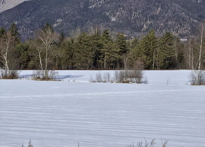 421 Seeblick By Interhome Daire Strobl